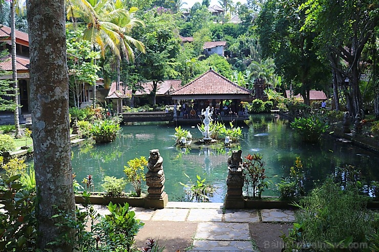 Travelnews.lv apmeklē avotu templi «Pura Gunung Kawi» Bali salā. Atbalsta: «Turkish Airlines» un «365 Brīvdienas» Travelnews.lv apmeklē avotu templi «Pura Gunung Kawi» Bali salā. Atbalsta: «Turkish Airlines» un «365 Brīvdienas» 279229