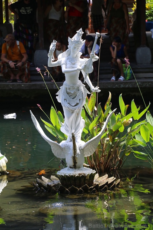Travelnews.lv apmeklē avotu templi «Pura Gunung Kawi» Bali salā. Atbalsta: «Turkish Airlines» un «365 Brīvdienas» Travelnews.lv apmeklē avotu templi «Pura Gunung Kawi» Bali salā. Atbalsta: «Turkish Airlines» un «365 Brīvdienas» 279230