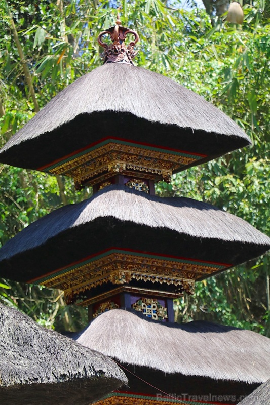 Travelnews.lv apmeklē avotu templi «Pura Gunung Kawi» Bali salā. Atbalsta: «Turkish Airlines» un «365 Brīvdienas» Travelnews.lv apmeklē avotu templi «Pura Gunung Kawi» Bali salā. Atbalsta: «Turkish Airlines» un «365 Brīvdienas» 279256
