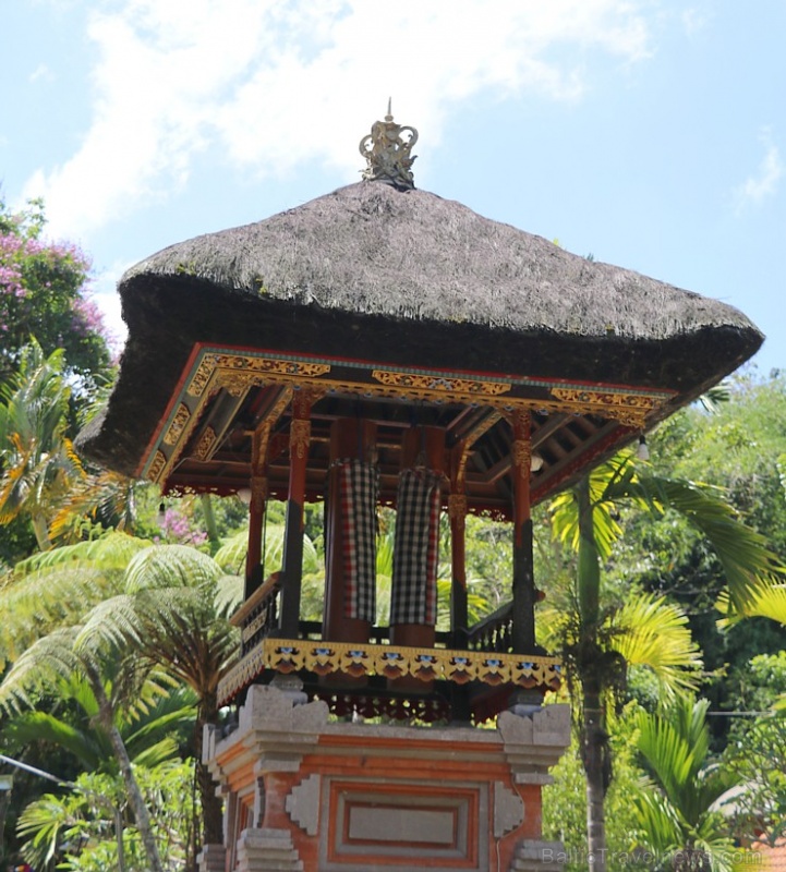 Travelnews.lv apmeklē avotu templi «Pura Gunung Kawi» Bali salā. Atbalsta: «Turkish Airlines» un «365 Brīvdienas» Travelnews.lv apmeklē avotu templi «Pura Gunung Kawi» Bali salā. Atbalsta: «Turkish Airlines» un «365 Brīvdienas» 279257