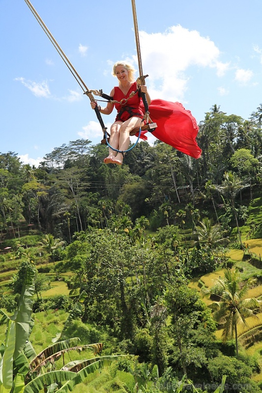 Travelnews.lv izbauda Bali lielās šūpoles «The Natural Terrace Swing». Atbalsta: «Turkish Airlines» un «365 Brīvdienas» Travelnews.lv izbauda Bali lielās šūpoles «The Natural Terrace Swing». Atbalsta: «Turkish Airlines» un «365 Brīvdienas» 279280