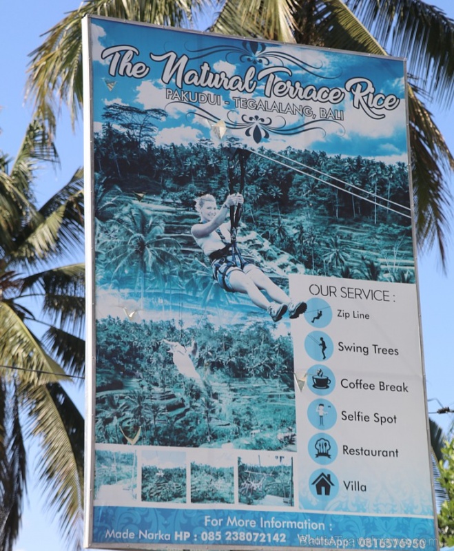 Travelnews.lv izbauda Bali lielās šūpoles «The Natural Terrace Swing». Atbalsta: «Turkish Airlines» un «365 Brīvdienas» Travelnews.lv izbauda Bali lielās šūpoles «The Natural Terrace Swing». Atbalsta: «Turkish Airlines» un «365 Brīvdienas» 279305