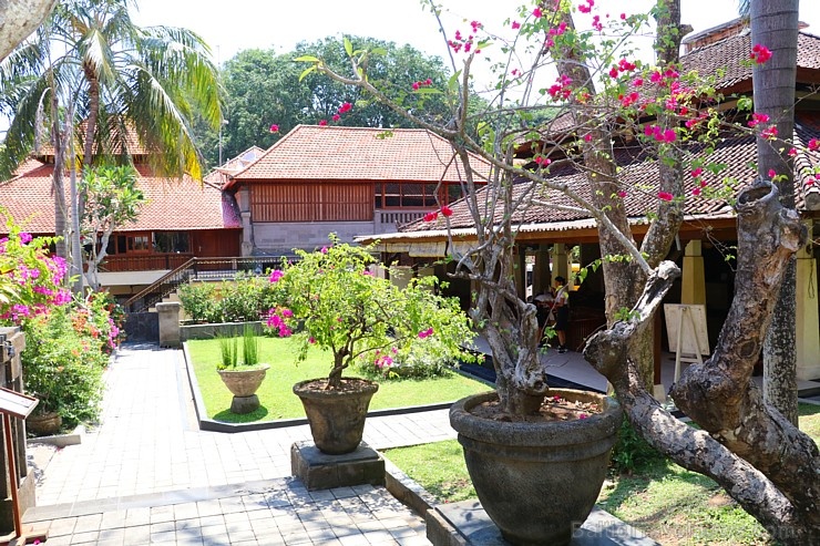 Travelnews.lv apmeklē un pusdieno Bali viesnīcā «Champlung Sari Hotel». «Turkish Airlines» un «365 Brīvdienas» Travelnews.lv apmeklē un pusdieno Bali viesnīcā «Champlung Sari Hotel». «Turkish Airlines» un «365 Brīvdienas» 279681