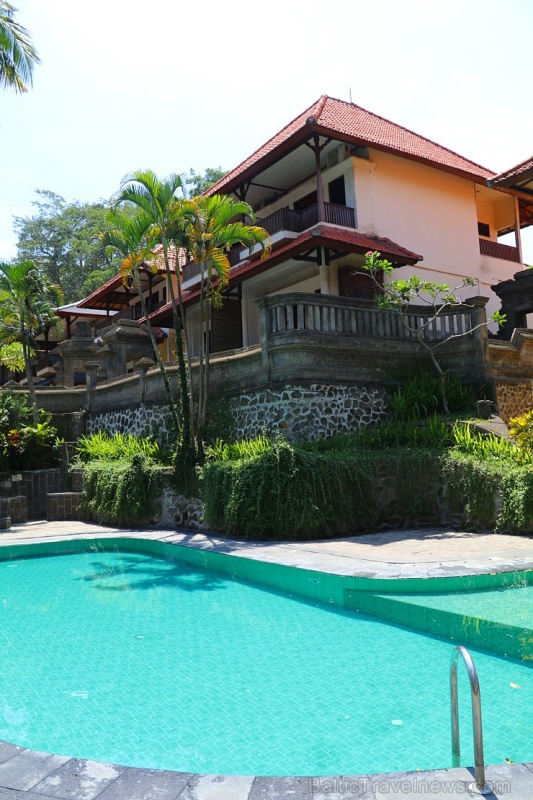 Travelnews.lv apmeklē un pusdieno Bali viesnīcā «Champlung Sari Hotel». «Turkish Airlines» un «365 Brīvdienas» Travelnews.lv apmeklē un pusdieno Bali viesnīcā «Champlung Sari Hotel». «Turkish Airlines» un «365 Brīvdienas» 279683