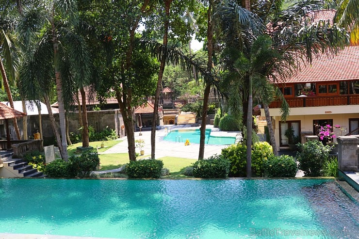 Travelnews.lv apmeklē un pusdieno Bali viesnīcā «Champlung Sari Hotel». «Turkish Airlines» un «365 Brīvdienas» Travelnews.lv apmeklē un pusdieno Bali viesnīcā «Champlung Sari Hotel». «Turkish Airlines» un «365 Brīvdienas» 279684