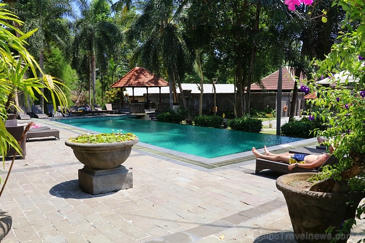 Travelnews.lv apmeklē un pusdieno Bali viesnīcā «Champlung Sari Hotel». «Turkish Airlines» un «365 Brīvdienas» Travelnews.lv apmeklē un pusdieno Bali viesnīcā «Champlung Sari Hotel». «Turkish Airlines» un «365 Brīvdienas» 279686