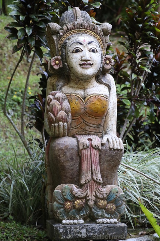 Bali viesnīcas «Ayung Resort Ubud» mākslas darbi, maskas un skulptūras. «Turkish Airlines» un «365 Brīvdienas» Bali viesnīcas «Ayung Resort Ubud» mākslas darbi, maskas un skulptūras. «Turkish Airlines» un «365 Brīvdienas» 279706