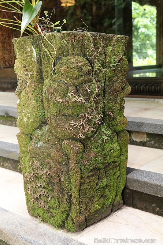 Bali viesnīcas «Ayung Resort Ubud» mākslas darbi, maskas un skulptūras. «Turkish Airlines» un «365 Brīvdienas» Bali viesnīcas «Ayung Resort Ubud» mākslas darbi, maskas un skulptūras. «Turkish Airlines» un «365 Brīvdienas» 279709