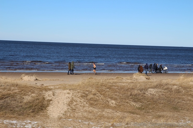 Ragakāpas dabas parkā Jūrmalā mostas pavasaris 279752