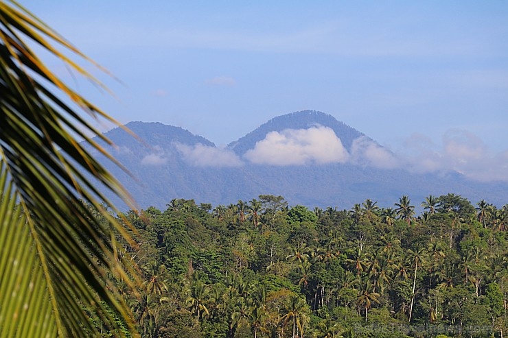 Travelnews.lv izbauda Bali džungļu viesnīcas «Ayung Resort Ubud» brokastis. «Turkish Airlines» un «365 Brīvdienas» Travelnews.lv izbauda Bali džungļu viesnīcas «Ayung Resort Ubud» brokastis. «Turkish Airlines» un «365 Brīvdienas» 279769