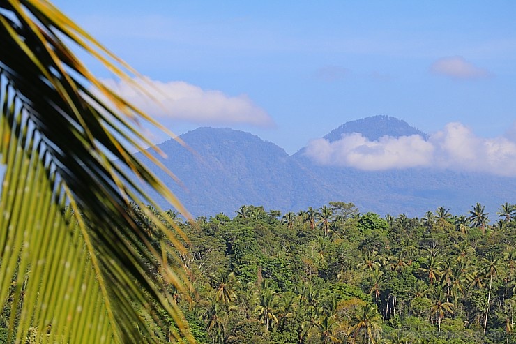 Travelnews.lv izbauda Bali džungļu viesnīcas «Ayung Resort Ubud» brokastis. «Turkish Airlines» un «365 Brīvdienas» Travelnews.lv izbauda Bali džungļu viesnīcas «Ayung Resort Ubud» brokastis. «Turkish Airlines» un «365 Brīvdienas» 279793