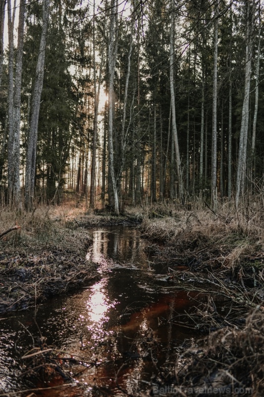 Sigulda ar akciju #satiecsevi aicina doties pastaigās pa mazāk zināmiem maršrutiem 279838