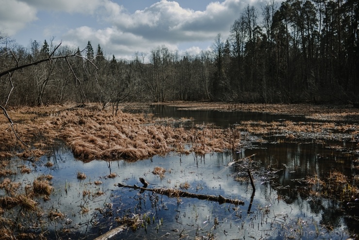 Sigulda ar akciju #satiecsevi aicina doties pastaigās pa mazāk zināmiem maršrutiem 279875