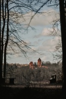 58