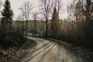 81