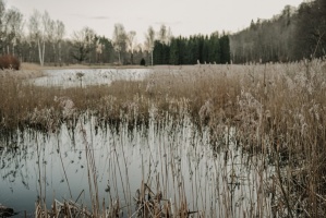 91