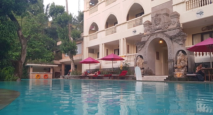 Travelnews.lv iepazīst Bali džungļu viesnīcu «Ayung Resort Ubud» un tās teritoriju. «Turkish Airlines» un «365 Brīvdienas» Travelnews.lv iepazīst Bali džungļu viesnīcu «Ayung Resort Ubud» un tās teritoriju. «Turkish Airlines» un «365 Brīvdienas» 279931