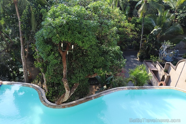 Travelnews.lv iepazīst Bali džungļu viesnīcu «Ayung Resort Ubud» un tās teritoriju. «Turkish Airlines» un «365 Brīvdienas» Travelnews.lv iepazīst Bali džungļu viesnīcu «Ayung Resort Ubud» un tās teritoriju. «Turkish Airlines» un «365 Brīvdienas» 279935