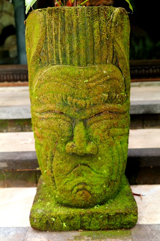 Travelnews.lv iepazīst Bali džungļu viesnīcu «Ayung Resort Ubud» un tās teritoriju. «Turkish Airlines» un «365 Brīvdienas» Travelnews.lv iepazīst Bali džungļu viesnīcu «Ayung Resort Ubud» un tās teritoriju. «Turkish Airlines» un «365 Brīvdienas» 279940