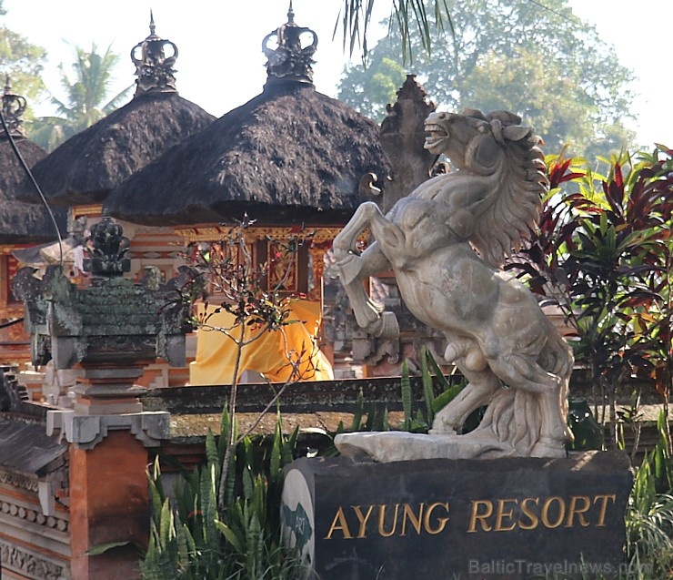 Travelnews.lv iepazīst Bali džungļu viesnīcu «Ayung Resort Ubud» un tās teritoriju. «Turkish Airlines» un «365 Brīvdienas» Travelnews.lv iepazīst Bali džungļu viesnīcu «Ayung Resort Ubud» un tās teritoriju. «Turkish Airlines» un «365 Brīvdienas» 279963
