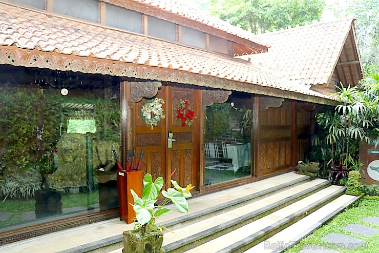 Travelnews.lv iepazīst Bali džungļu viesnīcas «Ayung Resort Ubud» villas. «Turkish Airlines» un «365 Brīvdienas» Travelnews.lv iepazīst Bali džungļu viesnīcas «Ayung Resort Ubud» villas. «Turkish Airlines» un «365 Brīvdienas» 280036