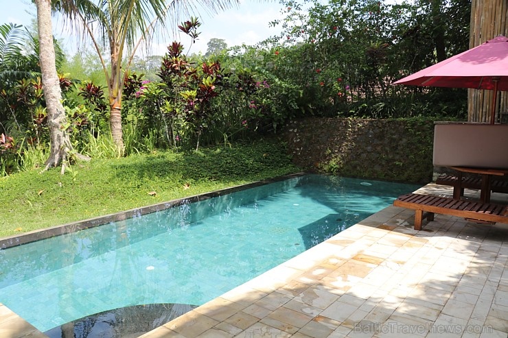 Travelnews.lv iepazīst Bali džungļu viesnīcas «Ayung Resort Ubud» villas. «Turkish Airlines» un «365 Brīvdienas» Travelnews.lv iepazīst Bali džungļu viesnīcas «Ayung Resort Ubud» villas. «Turkish Airlines» un «365 Brīvdienas» 280047
