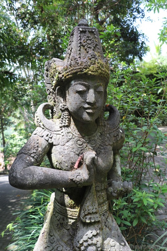 Travelnews.lv iepazīst Bali džungļu viesnīcas «Ayung Resort Ubud» villas. «Turkish Airlines» un «365 Brīvdienas» Travelnews.lv iepazīst Bali džungļu viesnīcas «Ayung Resort Ubud» villas. «Turkish Airlines» un «365 Brīvdienas» 280079