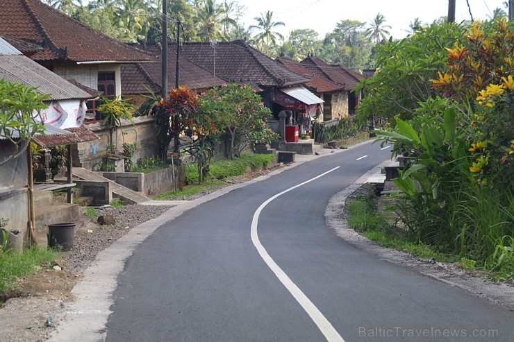 Travelnews.lv piedāvā fotomirkļus no Bali ielas satiksmes dzīves. «Turkish Airlines» un «365 Brīvdienas» Travelnews.lv piedāvā fotomirkļus no Bali ielas satiksmes dzīves. «Turkish Airlines» un «365 Brīvdienas» 280336