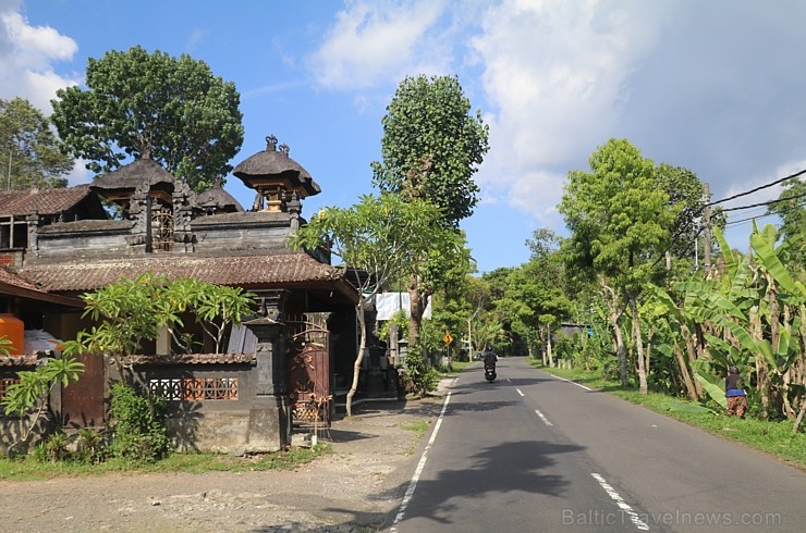 Travelnews.lv piedāvā fotomirkļus no Bali ielas satiksmes dzīves. «Turkish Airlines» un «365 Brīvdienas» Travelnews.lv piedāvā fotomirkļus no Bali ielas satiksmes dzīves. «Turkish Airlines» un «365 Brīvdienas» 280339