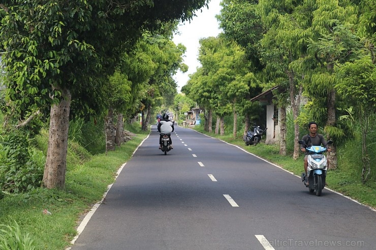 Travelnews.lv piedāvā fotomirkļus no Bali ielas satiksmes dzīves. «Turkish Airlines» un «365 Brīvdienas» Travelnews.lv piedāvā fotomirkļus no Bali ielas satiksmes dzīves. «Turkish Airlines» un «365 Brīvdienas» 280342