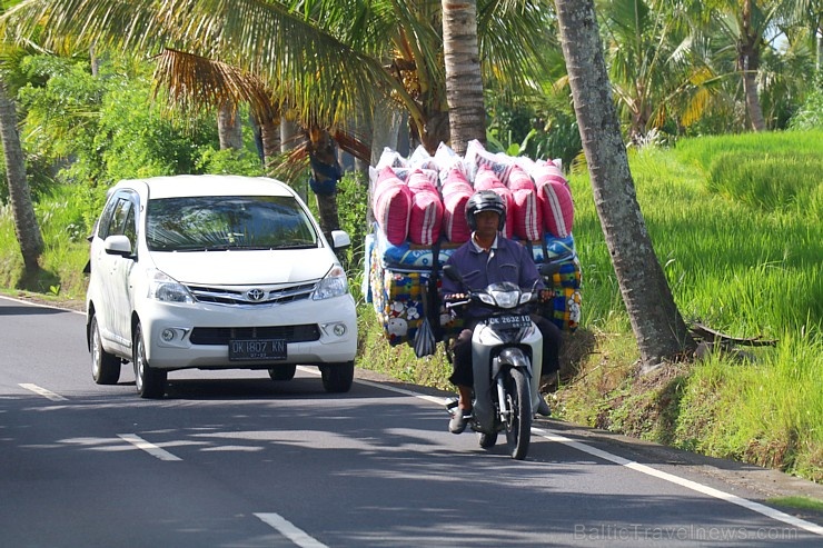 Travelnews.lv piedāvā fotomirkļus no Bali ielas satiksmes dzīves. «Turkish Airlines» un «365 Brīvdienas» Travelnews.lv piedāvā fotomirkļus no Bali ielas satiksmes dzīves. «Turkish Airlines» un «365 Brīvdienas» 280343