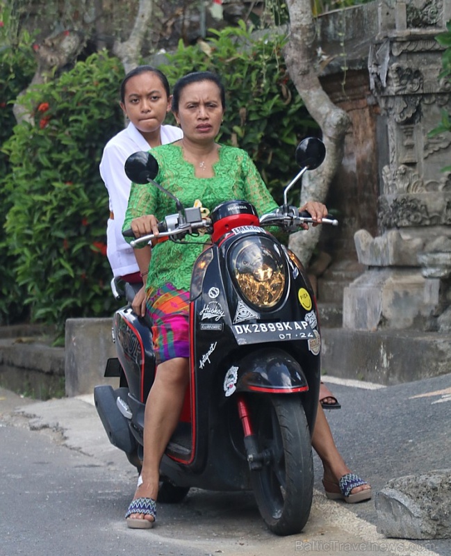 Travelnews.lv piedāvā fotomirkļus no Bali ielas satiksmes dzīves. «Turkish Airlines» un «365 Brīvdienas» Travelnews.lv piedāvā fotomirkļus no Bali ielas satiksmes dzīves. «Turkish Airlines» un «365 Brīvdienas» 280361