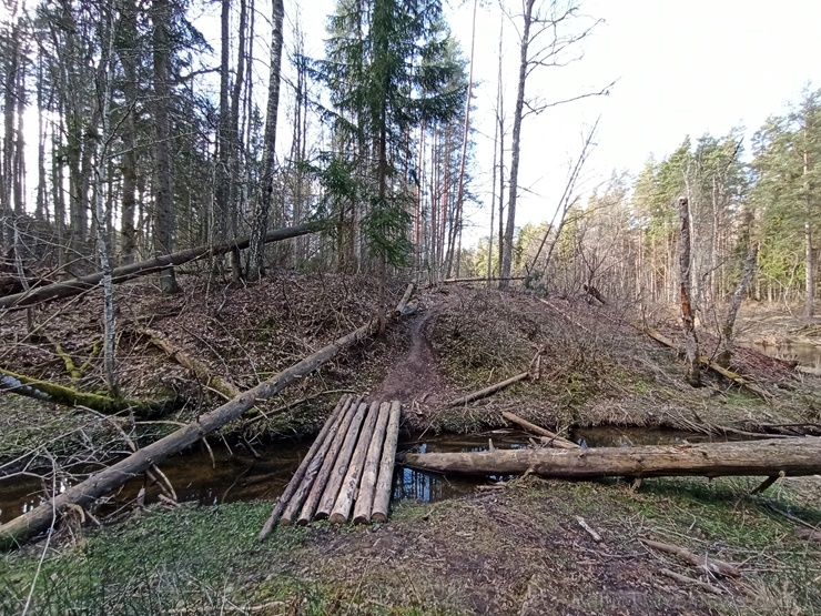 Abula dabas taka Valmieras pusē ir apmēram 12 kilometrus gara un ved caur Abula kreisā krasta mežiem, klajumiem un arī muižu apbūvēm Abula dabas taka Valmieras pusē ir apmēram 12 kilometrus gara un ved caur Abula kreisā krasta mežiem, klajumiem un arī muižu apbūvēm 280556