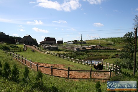 Krāslavas rajonā Robežniekos atrodas Eksotisko putnu mini zoodārzs Viesturi. Fotogalerija: INTERREG IIIA projekta SII-050 konsultāciju ietvaros Krāslavas rajonā Robežniekos atrodas Eksotisko putnu mini zoodārzs Viesturi. Fotogalerija: INTERREG IIIA projekta SII-050 konsultāciju ietvaros 15130
