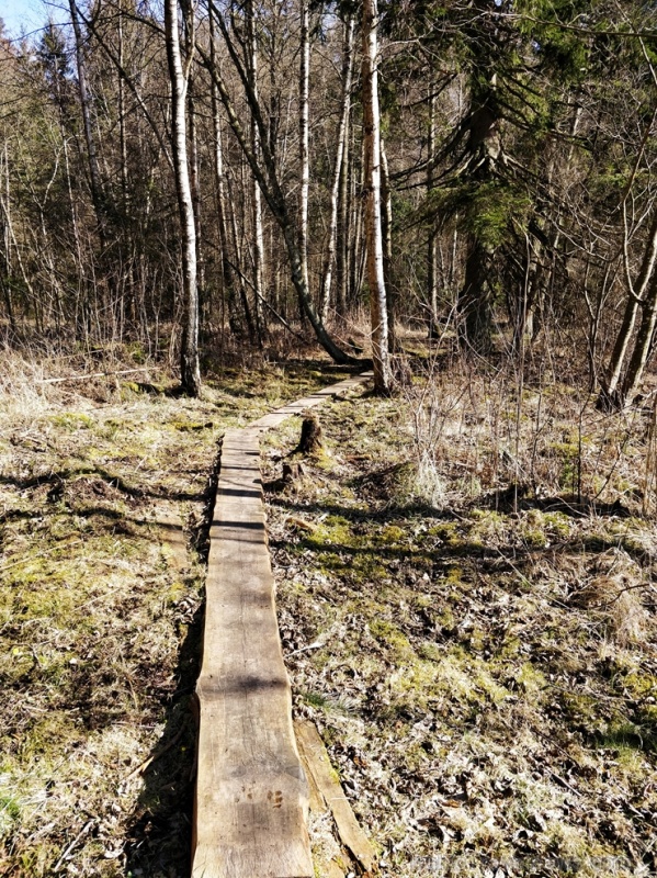 Dobeles pusē, ievērojot valstī noteiktos drošības nosacījumus, var baudīt pavasarīgas pastaigas 280679