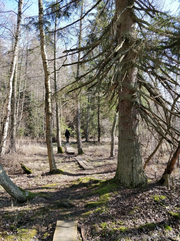 Dobeles pusē, ievērojot valstī noteiktos drošības nosacījumus, var baudīt pavasarīgas pastaigas 280680