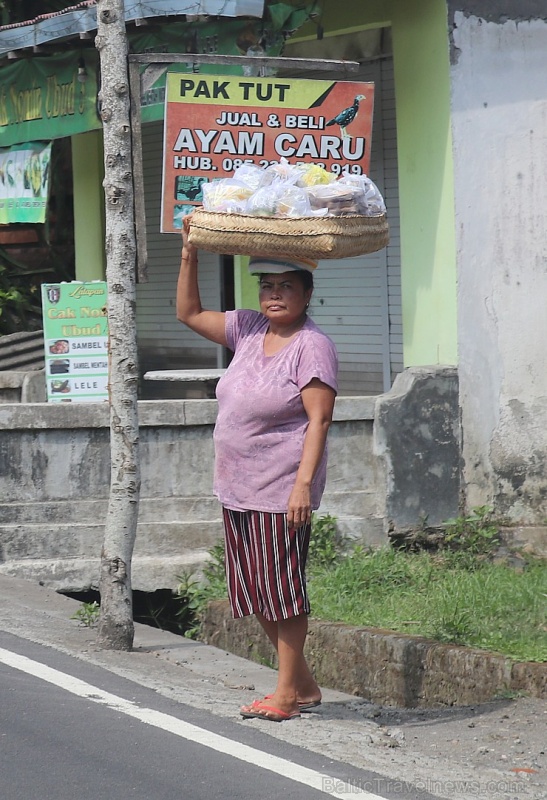 Travelnews.lv piedāvā fotomirkļus no Bali salas apceļošanas. «Turkish Airlines» un «365 Brīvdienas» Travelnews.lv piedāvā fotomirkļus no Bali salas apceļošanas. «Turkish Airlines» un «365 Brīvdienas» 280914