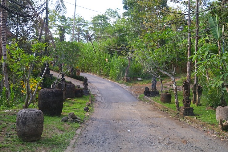 Travelnews.lv piedāvā fotomirkļus no Bali salas apceļošanas. «Turkish Airlines» un «365 Brīvdienas» Travelnews.lv piedāvā fotomirkļus no Bali salas apceļošanas. «Turkish Airlines» un «365 Brīvdienas» 280937