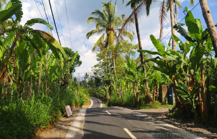 Travelnews.lv piedāvā fotomirkļus no Bali salas apceļošanas. «Turkish Airlines» un «365 Brīvdienas» Travelnews.lv piedāvā fotomirkļus no Bali salas apceļošanas. «Turkish Airlines» un «365 Brīvdienas» 280939