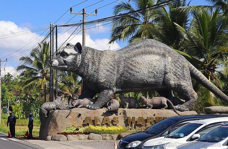 Travelnews.lv piedāvā fotomirkļus no Bali salas apceļošanas. «Turkish Airlines» un «365 Brīvdienas» Travelnews.lv piedāvā fotomirkļus no Bali salas apceļošanas. «Turkish Airlines» un «365 Brīvdienas» 280948