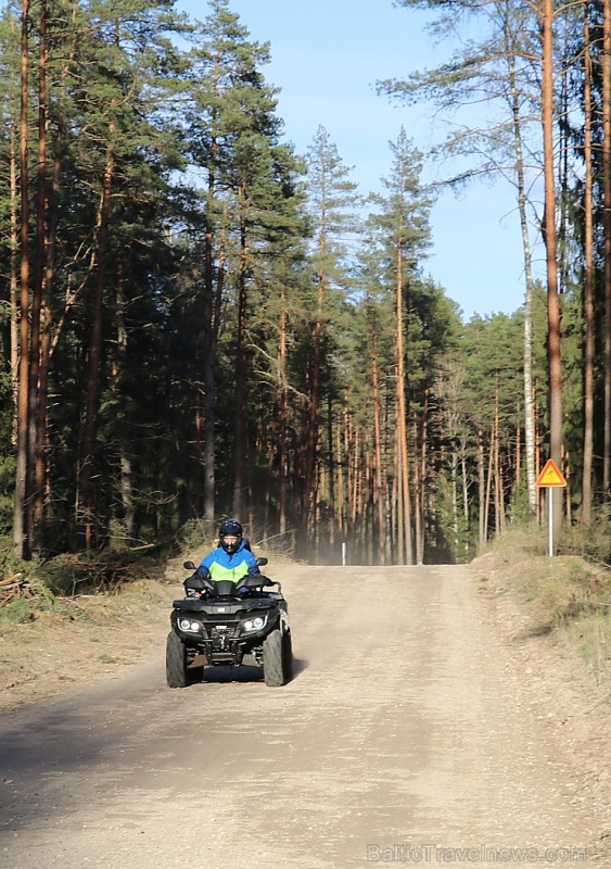 Pavasara pumpuri un ziedi iekrīt Travelnews.lv fotoobjektīvā 280980