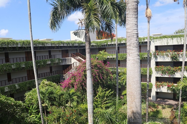 Travelnews.lv iepazīst un nakšņo luksus klases Bali viesnīcā «Hyatt Regency Bali». «Turkish Airlines» un «365 Brīvdienas» Travelnews.lv iepazīst un nakšņo luksus klases Bali viesnīcā «Hyatt Regency Bali». «Turkish Airlines» un «365 Brīvdienas» 281205