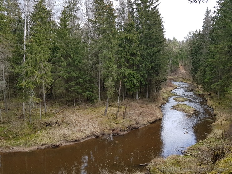 Viesatas upesloku dabas taka Tukuma pusē ir ārkārtīgi skaista un patiks garāku pastaigu cienītājiem Viesatas upesloku dabas taka Tukuma pusē ir ārkārtīgi skaista un patiks garāku pastaigu cienītājiem 281435