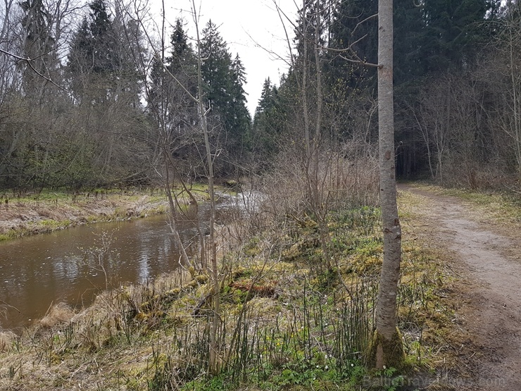 Viesatas upesloku dabas taka Tukuma pusē ir ārkārtīgi skaista un patiks garāku pastaigu cienītājiem Viesatas upesloku dabas taka Tukuma pusē ir ārkārtīgi skaista un patiks garāku pastaigu cienītājiem 281444