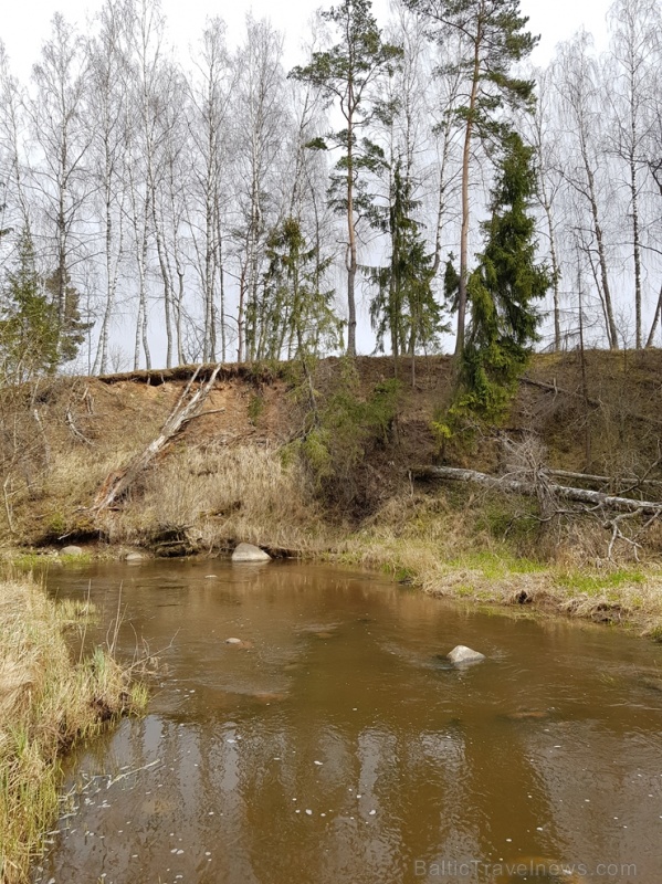 Viesatas upesloku dabas taka Tukuma pusē ir ārkārtīgi skaista un patiks garāku pastaigu cienītājiem Viesatas upesloku dabas taka Tukuma pusē ir ārkārtīgi skaista un patiks garāku pastaigu cienītājiem 281445