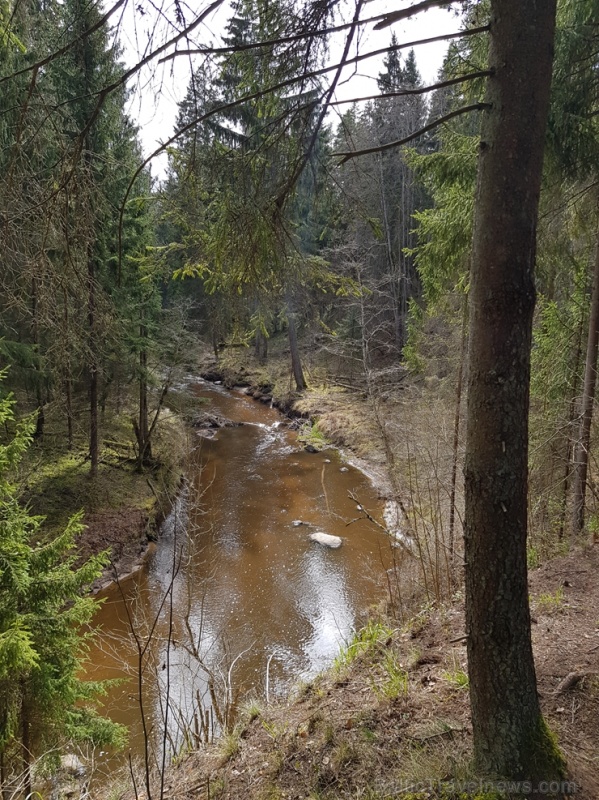 Viesatas upesloku dabas taka Tukuma pusē ir ārkārtīgi skaista un patiks garāku pastaigu cienītājiem Viesatas upesloku dabas taka Tukuma pusē ir ārkārtīgi skaista un patiks garāku pastaigu cienītājiem 281459