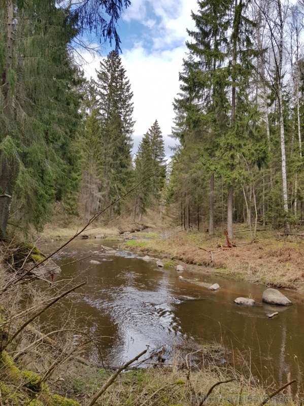 Viesatas upesloku dabas taka Tukuma pusē ir ārkārtīgi skaista un patiks garāku pastaigu cienītājiem Viesatas upesloku dabas taka Tukuma pusē ir ārkārtīgi skaista un patiks garāku pastaigu cienītājiem 281462