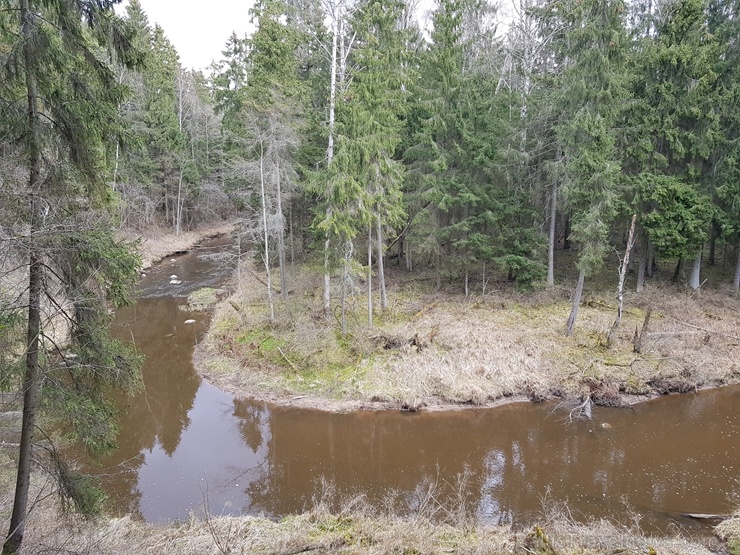 Viesatas upesloku dabas taka Tukuma pusē ir ārkārtīgi skaista un patiks garāku pastaigu cienītājiem Viesatas upesloku dabas taka Tukuma pusē ir ārkārtīgi skaista un patiks garāku pastaigu cienītājiem 281465