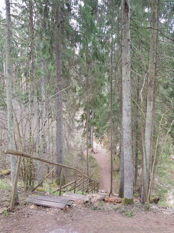 Viesatas upesloku dabas taka Tukuma pusē ir ārkārtīgi skaista un patiks garāku pastaigu cienītājiem Viesatas upesloku dabas taka Tukuma pusē ir ārkārtīgi skaista un patiks garāku pastaigu cienītājiem 281469