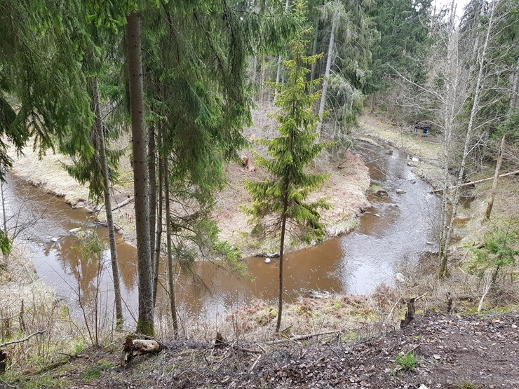 Viesatas upesloku dabas taka Tukuma pusē ir ārkārtīgi skaista un patiks garāku pastaigu cienītājiem Viesatas upesloku dabas taka Tukuma pusē ir ārkārtīgi skaista un patiks garāku pastaigu cienītājiem 281470